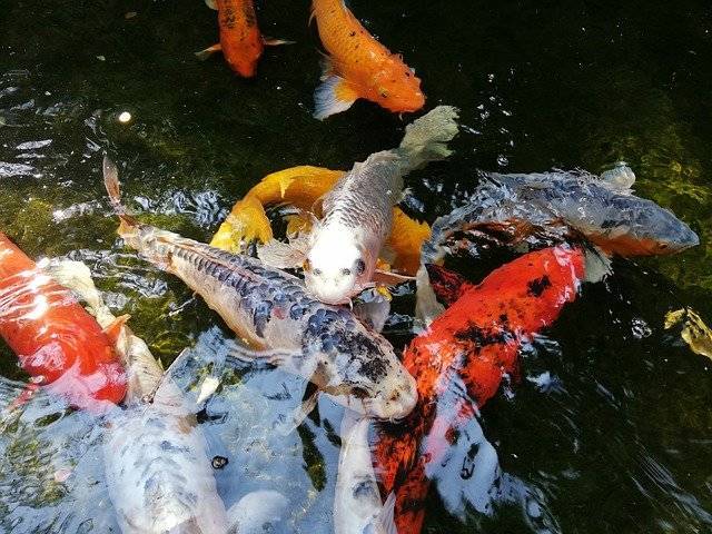 2023高考志愿填报10问10答 2023高考志愿填报指南常见问题解答